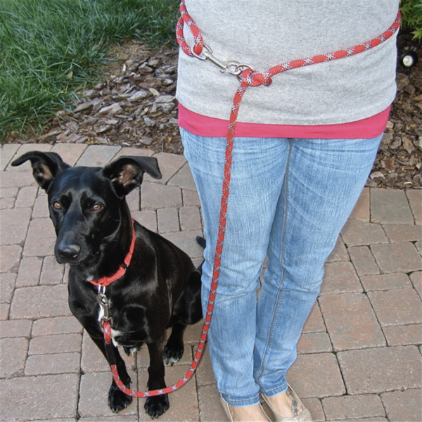 TGS Leash